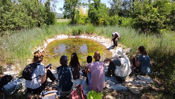Participez à la fête des mares en région Occitanie